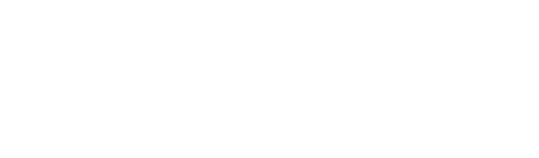 haarstudio_renata_logo_light_big